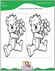 okul öncesi İki Resim Arasındaki Farkı Bul